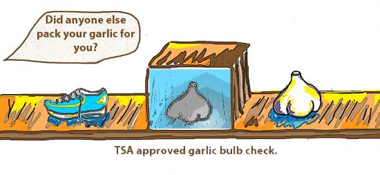 TSA checks garlic